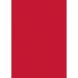 Χαρτόνι Κολάζ 50x70cm 220gr. (τύπου Κανσόν) Κόκκινο