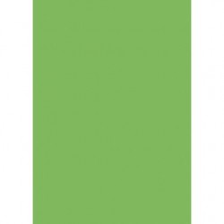 Χαρτόνι Κολάζ 50x70cm 220gr. (τύπου Κανσόν) Πράσινο