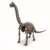 Ανασκαφή Βραχιόσαυρος