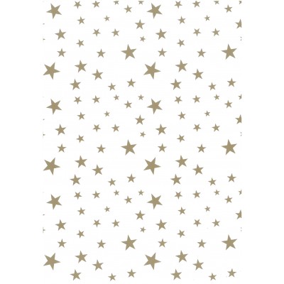 Χαρτόνι Κάνσον Αστέρια Λευκό-Χρυσό 50x68cm 300gr 