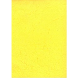 Χαρτόνι Ανάγλυφο Άχυρο Κίτρινο 40x55cm 100gr